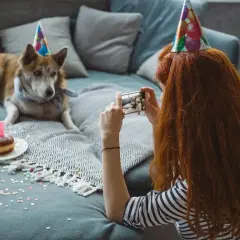 Urodzinowy piesek w czapce z cyfrą 1. Ile to ludzkich lat? Kobieta robi mu zdjęcie.