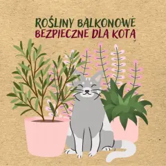 Szary kot siedzi wśród roślin, które są bezpieczne dla kota.