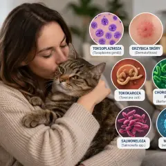 Kobieta tuli kota, a obok grafiki przedstawiające choroby od kota: toksoplazmozę, grzybicę, kleszcze, tokokarozę, chorobę kociego pazura, salmonellę i wściekliznę.