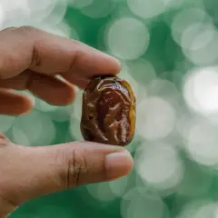 Czy pies może jeść daktyle? Sprawdź, jakie mogą być skutki!