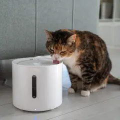 Trójkolorowy kot z niechęcią próbuje pić wodę z poidełka.
