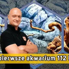 Jak urządzić akwarium 112l - uniknij najczęstszych błędów w aranżacji
