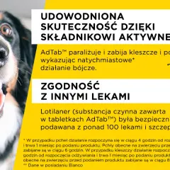 Jak działają tabletki na kleszcze dla psa i dlaczego są skuteczne