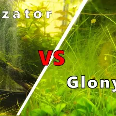 Jonizator do akwarium czy warto? Odkryj prawdę o jego skuteczności