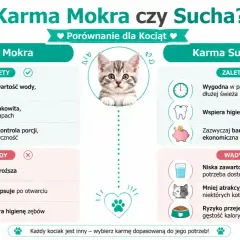Porównanie mokrej i suchej karmy dla kociąt: zalety i wady każdej z nich. Wybierz najlepszą karmę dla swojego pupila!