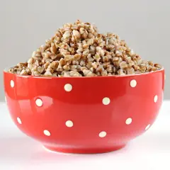 Miseczka z kaszą jęczmienną, idealna dla psa? Zastanawiasz się, czy pies może jeść kaszę jęczmienną?