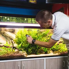 Jak często czyścić filtr w akwarium, aby uniknąć problemów z wodą?