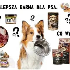 Najlepsza karma dla psa – wybierz odpowiednią dla swojego pupila
