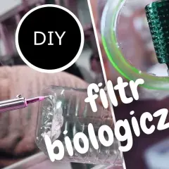 Jak zrobić filtr biologiczny do akwarium - uniknij najczęstszych błędów