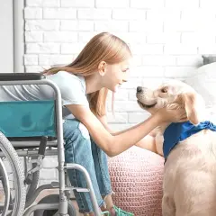 Dziewczynka na wózku inwalidzkim głaszcze psa, który ma na sobie niebieską bandanę. To piękny przykład dogoterapii.