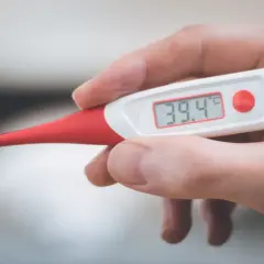 Cyfrowy termometr pokazuje 39.4°C. Dowiedz się, jak sprawdzić czy pies ma gorączkę.