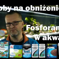 Jak obniżyć fosforany w akwarium i poprawić zdrowie ryb