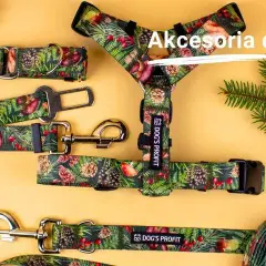 Najlepsza obroża dla buldoga francuskiego - komfort i bezpieczeństwo