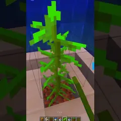 Jak zrobić akwarium w Minecraft – proste kroki i kreatywne pomysły
