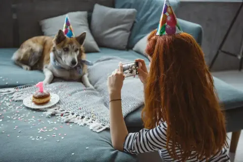 Urodzinowy piesek w czapce z cyfrą 1. Ile to ludzkich lat? Kobieta robi mu zdjęcie.