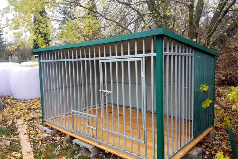 Ile kosztuje kojec dla psa? Ceny, które mogą Cię zaskoczyć