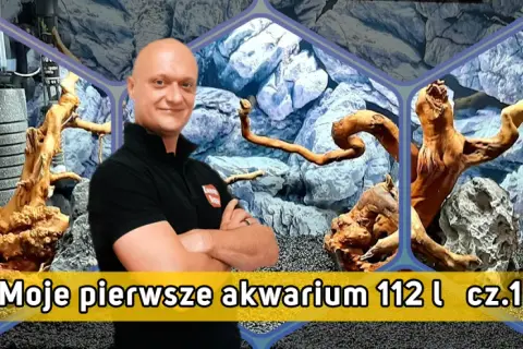 Jak urządzić akwarium 112l - uniknij najczęstszych błędów w aranżacji