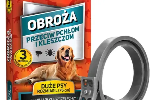 Krople czy obroża przeciw kleszczom – co lepiej chroni Twojego psa?