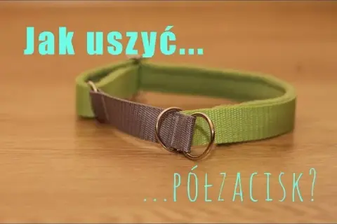 Jak zrobić obrożę dla psa – łatwy sposób na wyjątkowy dodatek dla pupila