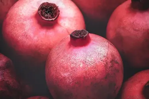 Czy pies może jeść granat? Bezpieczne owoce czy groźne dla zdrowia?