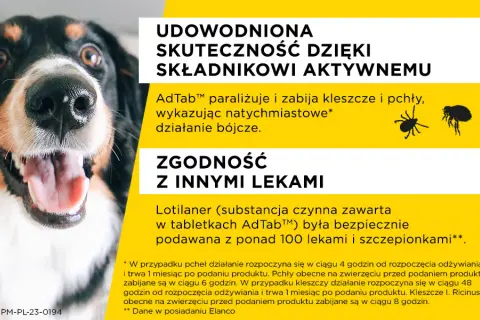 Jak działają tabletki na kleszcze dla psa i dlaczego są skuteczne