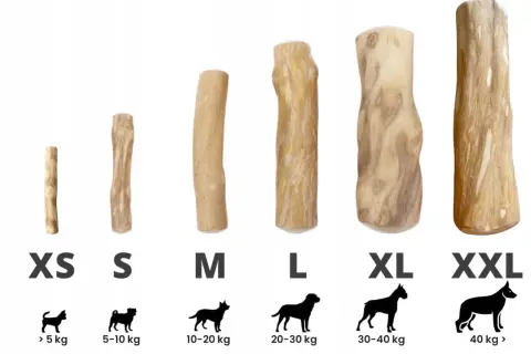 Naturalne patyki z drzewa kawowego dla psów, od XS do XXL. Idealne dla każdej rasy i wagi.