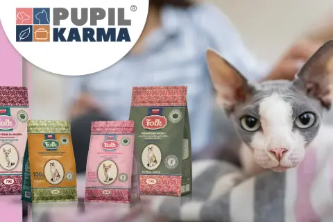 Najlepsza Sucha Karma dla Kota w 2026: Karmy z Najlepszym Składem