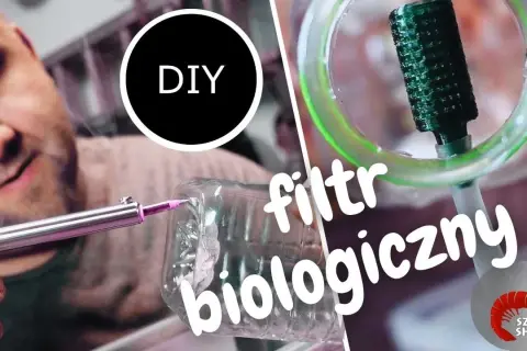 Jak zrobić filtr biologiczny do akwarium - uniknij najczęstszych błędów
