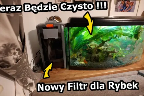 Jak zamontować filtr w akwarium - uniknij najczęstszych błędów