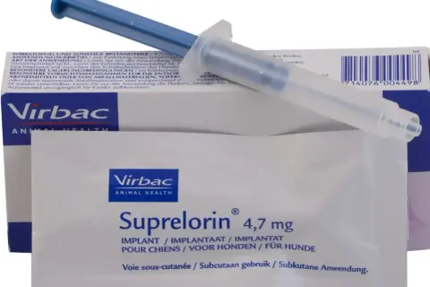 Zestaw do **kastracja chemiczna psa**: implant Suprelorin 4,7 mg od Virbac i aplikator.