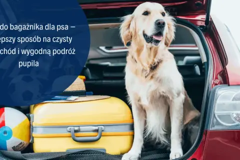 Mata do bagażnika dla psa – najlepszy sposób na czysty samochód i wygodną podróż pupila