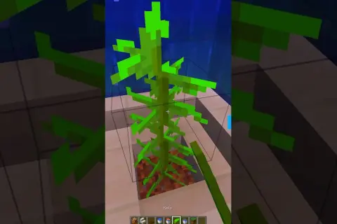 Jak zrobić akwarium w Minecraft – proste kroki i kreatywne pomysły