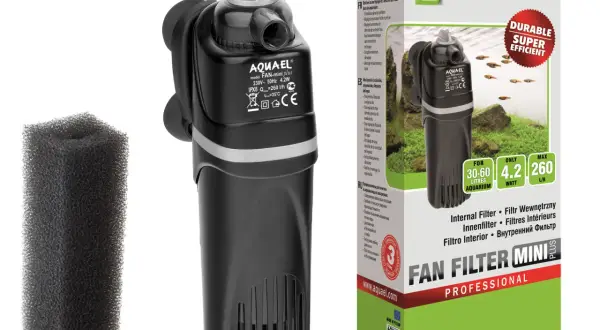 Jaki filtr do akwarium 60l? Najlepsze wybory, które musisz znać