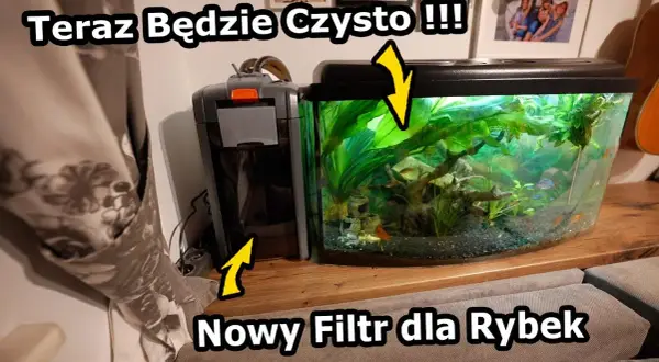 Jak zamontować filtr w akwarium - uniknij najczęstszych błędów
