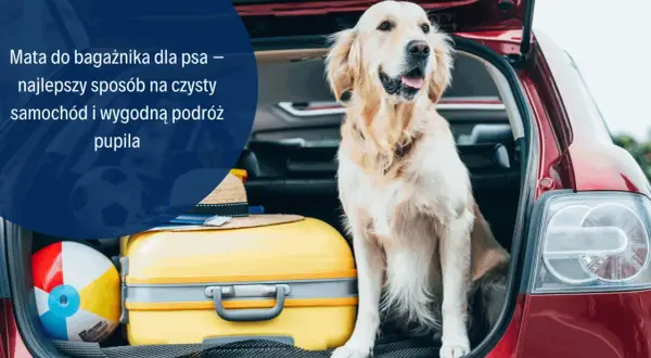 Mata do bagażnika dla psa – najlepszy sposób na czysty samochód i wygodną podróż pupila
