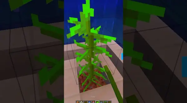 Jak zrobić akwarium w Minecraft – proste kroki i kreatywne pomysły