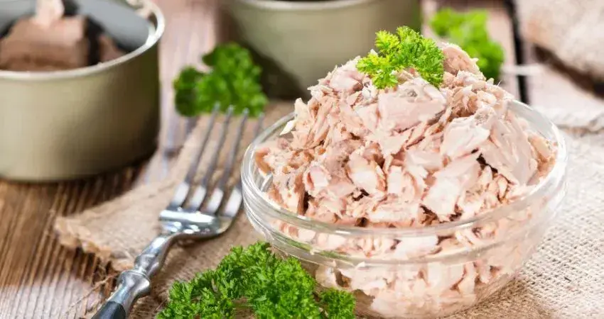 Czy pies może jeść tuńczyka? Sprawdź, czy to bezpieczne dla zdrowia