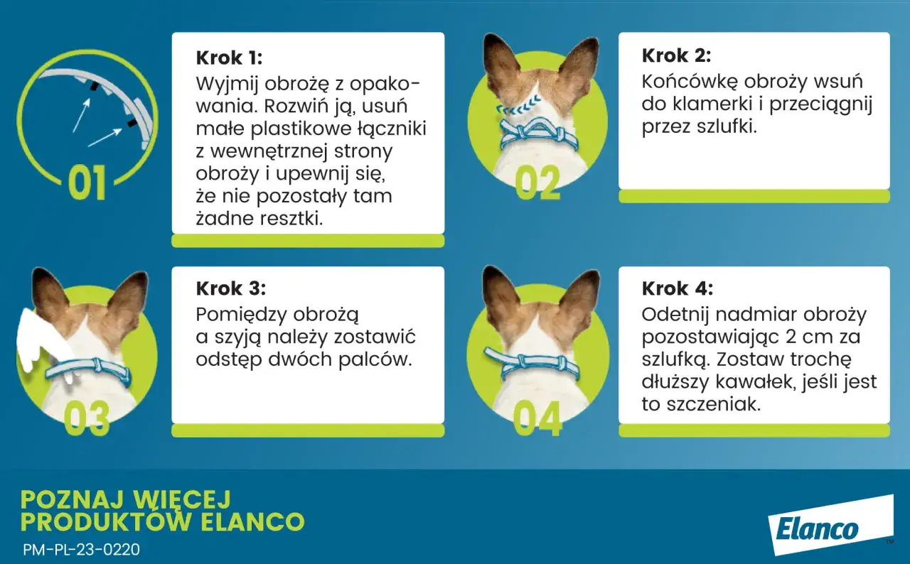 Zdjęcie Jak działa obroża przeciwpchelna dla kota? Odkryj skuteczne działanie