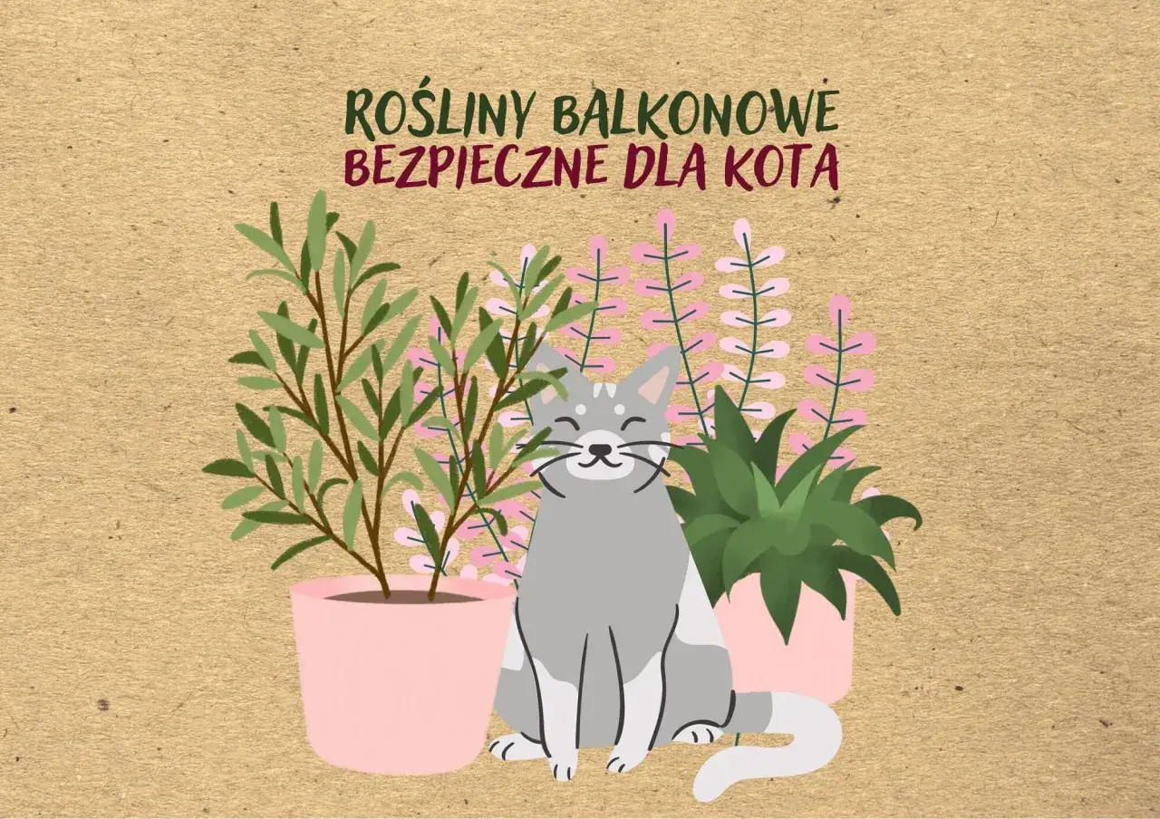 Uroczy kotek wśród roślin balkonowych bezpiecznych dla kota. Zielone i różowe kwiaty w doniczkach.