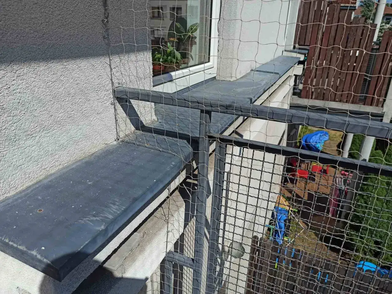 Siatka zabezpiecza balkon, tworząc bezpieczną przestrzeń dla kota. Widać metalową balustradę i fragment okna.