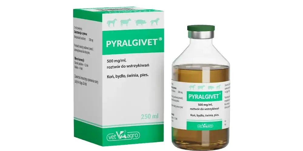 Zdjęcie Ile pyralginy dla psa 10 kg? Bezpieczne dawkowanie i ryzyko.