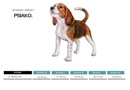 Jak zmierzyć psa w kłębie? Prosty poradnik krok po kroku