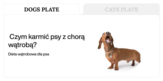 Najlepsza karma dla psa z chorą wątrobą - jak wybrać?