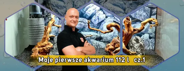 Jak urządzić akwarium 112l - uniknij najczęstszych błędów w aranżacji