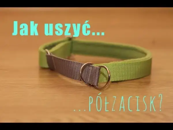 Jak zrobić obrożę dla psa – łatwy sposób na wyjątkowy dodatek dla pupila