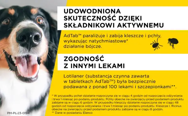 Jak działają tabletki na kleszcze dla psa i dlaczego są skuteczne