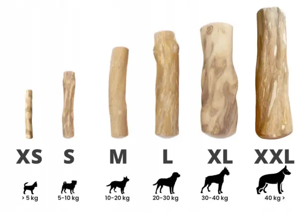 Naturalne patyki z drzewa kawowego dla psów, od XS do XXL. Idealne dla każdej rasy i wagi.