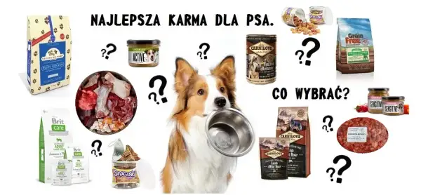 Najlepsza karma dla psa – wybierz odpowiednią dla swojego pupila
