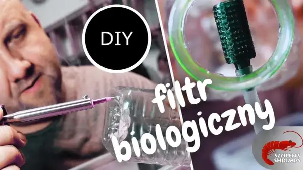 Jak zrobić filtr biologiczny do akwarium - uniknij najczęstszych błędów