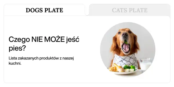 Złoty retriever z brokułem w pysku, obok talerz z jedzeniem i mlekiem. Temat: czego nie może jeść pies.
